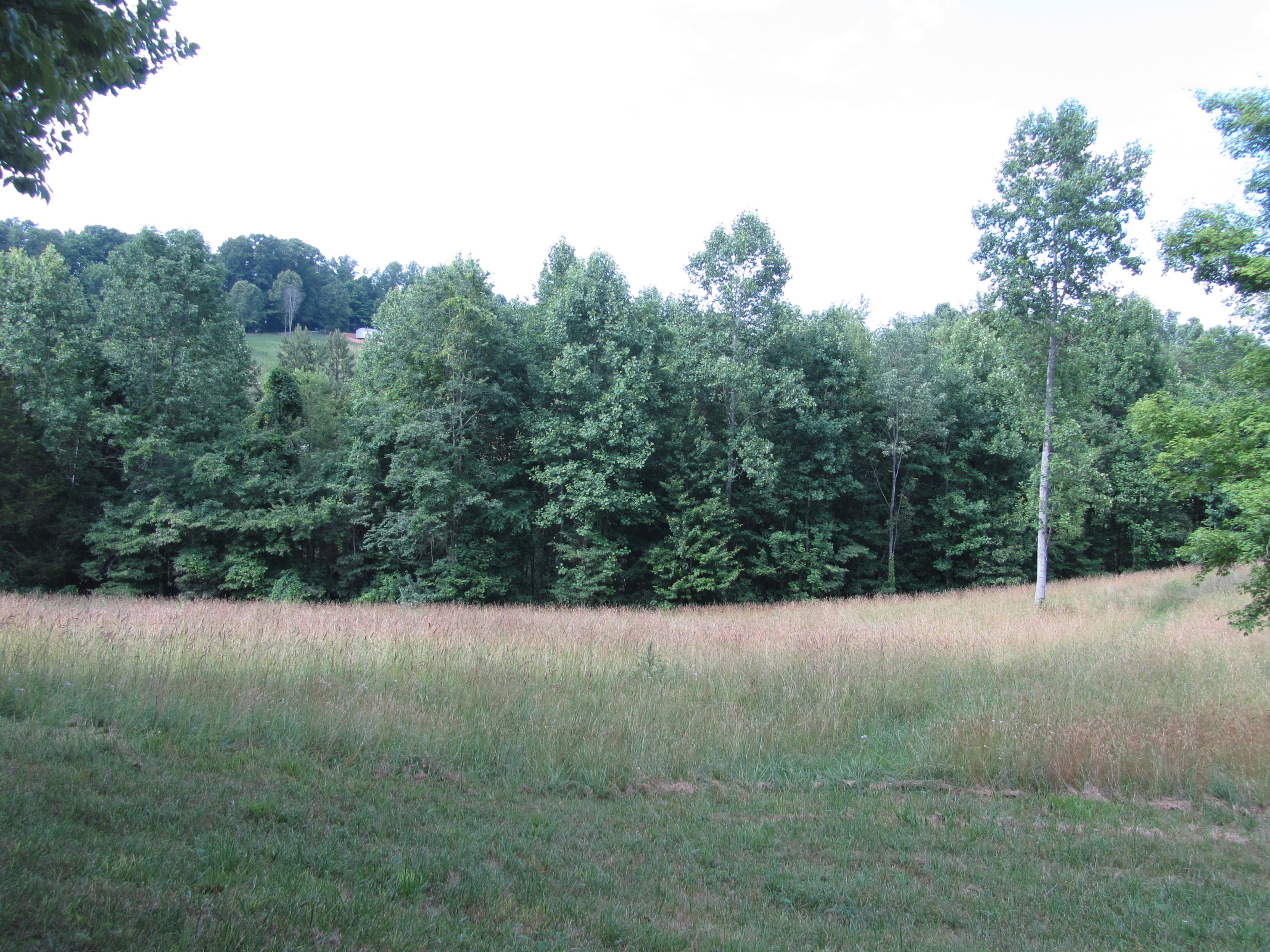 Magnolia-eagles Ridge-red B Magnolia-eagles Ridge-red B Sneedville, TN 37869 - Photo 10 of 22 IMG_2354