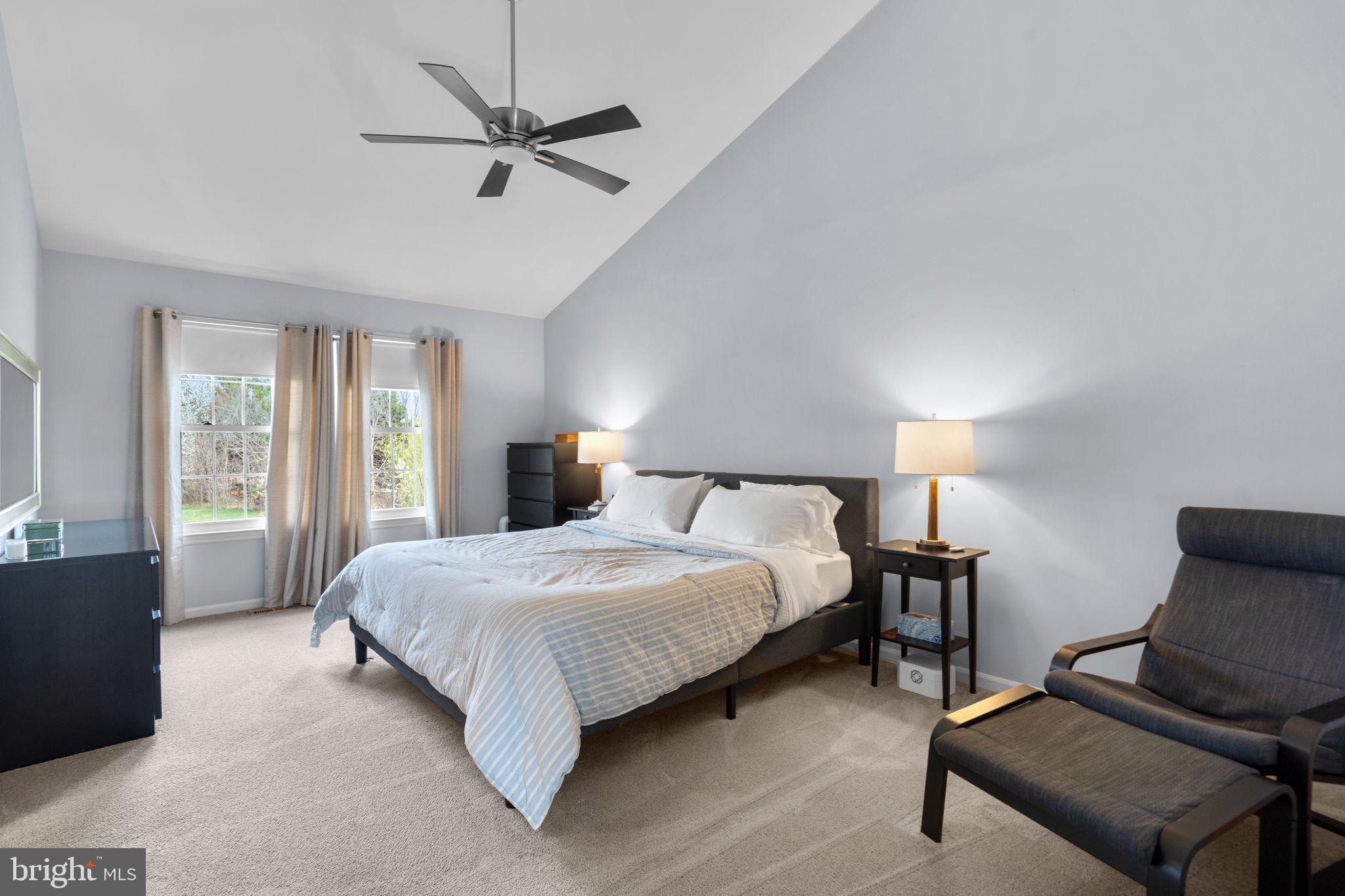 20747 Laplume Place Ashburn, VA 20147 - Photo 20 of 48 Primary suite with soaring ceilings