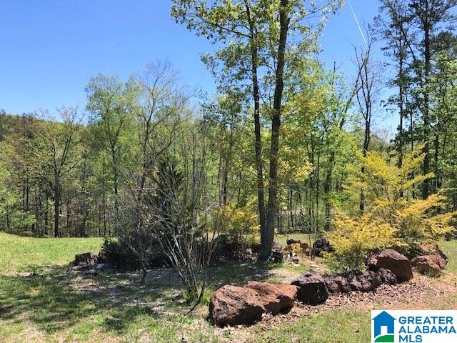 21 Evans Road Piedmont, AL 36272 - Photo 2 of 22