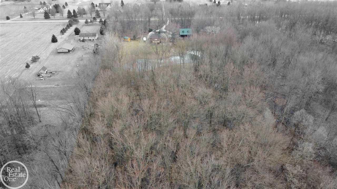 8195 Tubspring Road Almont, MI 48003 - Photo 92 of 95 50075786-92.JPG