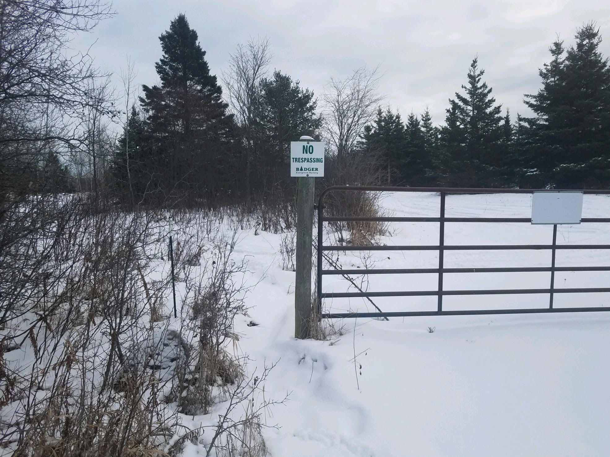32-acres South Ridge Road Sault Ste. Marie, MI 49783 - Photo 11 of 20 Gallery Image 11
