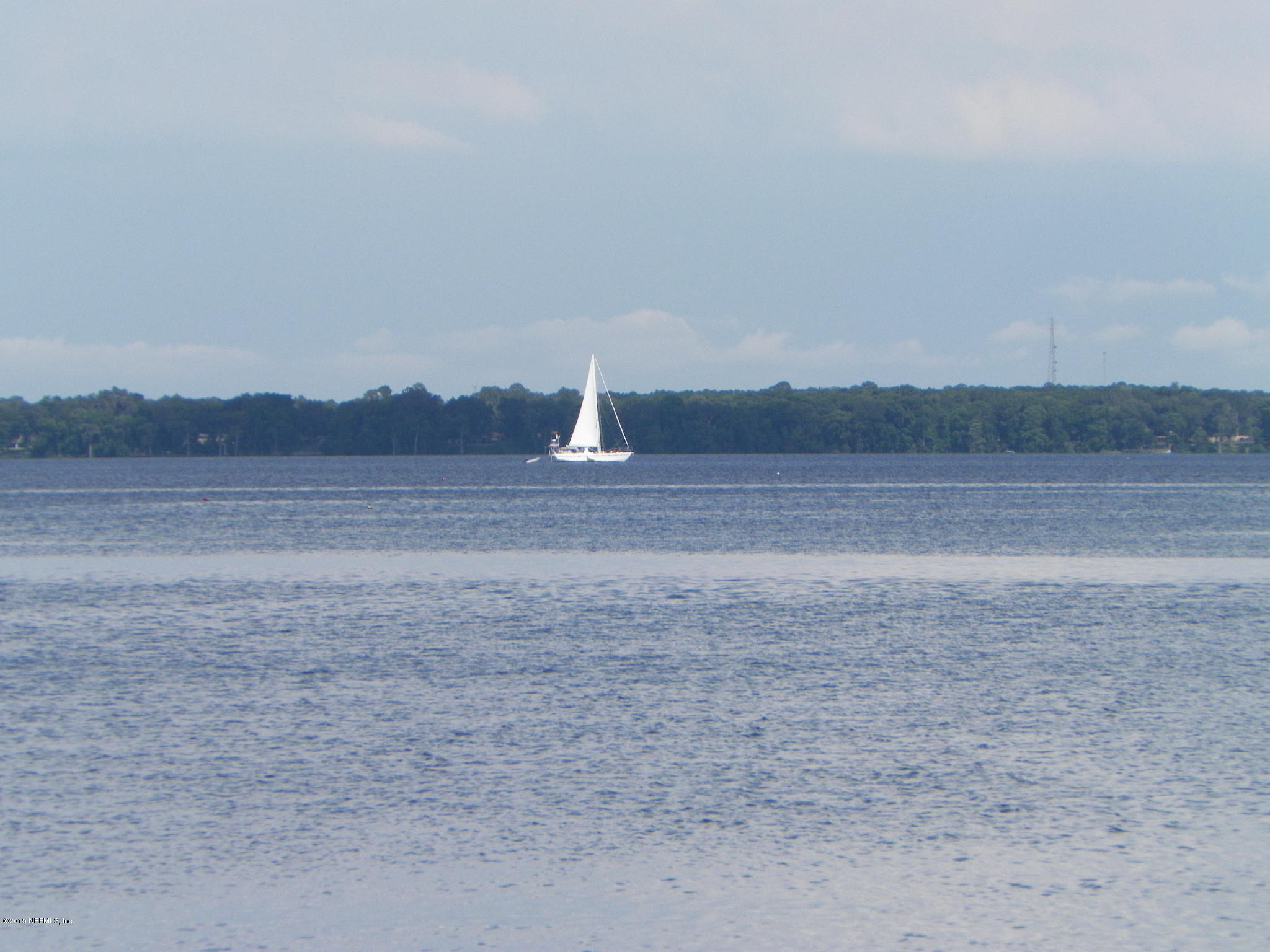 Raggedy Point View