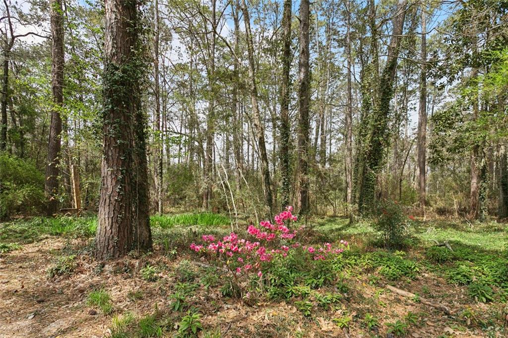 33 Begonia Drive Covington, LA 70433 - Photo 26 of 41
