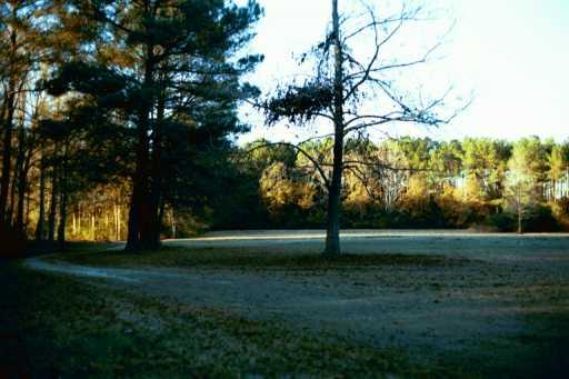 56120 North Cooper Road Loranger, LA 70446 - Photo 5 of 8 Gallery Image 5
