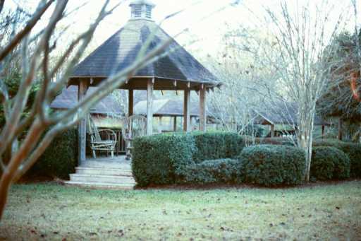 56120 North Cooper Road Loranger, LA 70446 - Photo 7 of 8 Gallery Image 7