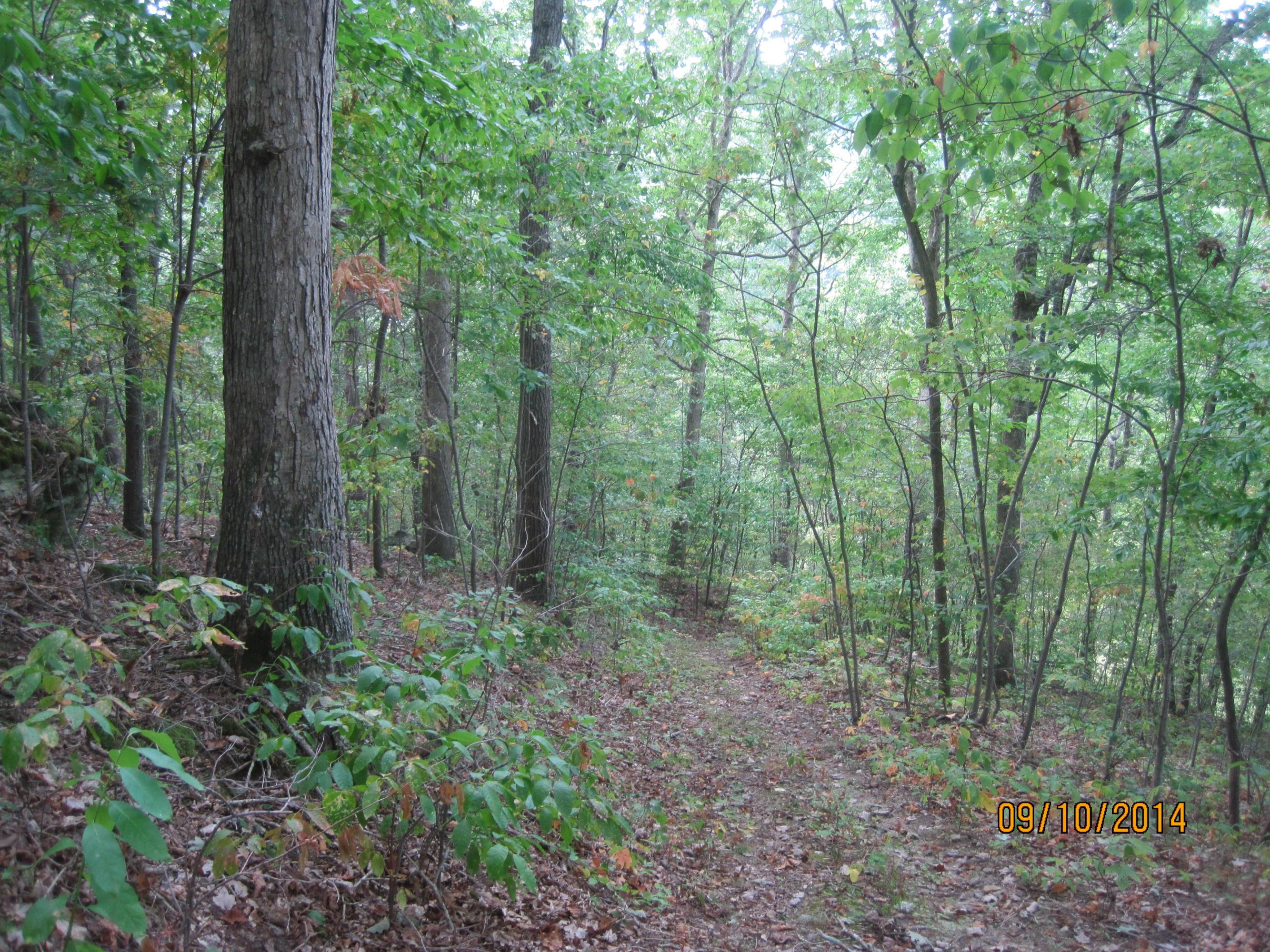 33852 Kelly Road Ray, OH 45672 - Photo 21 of 37