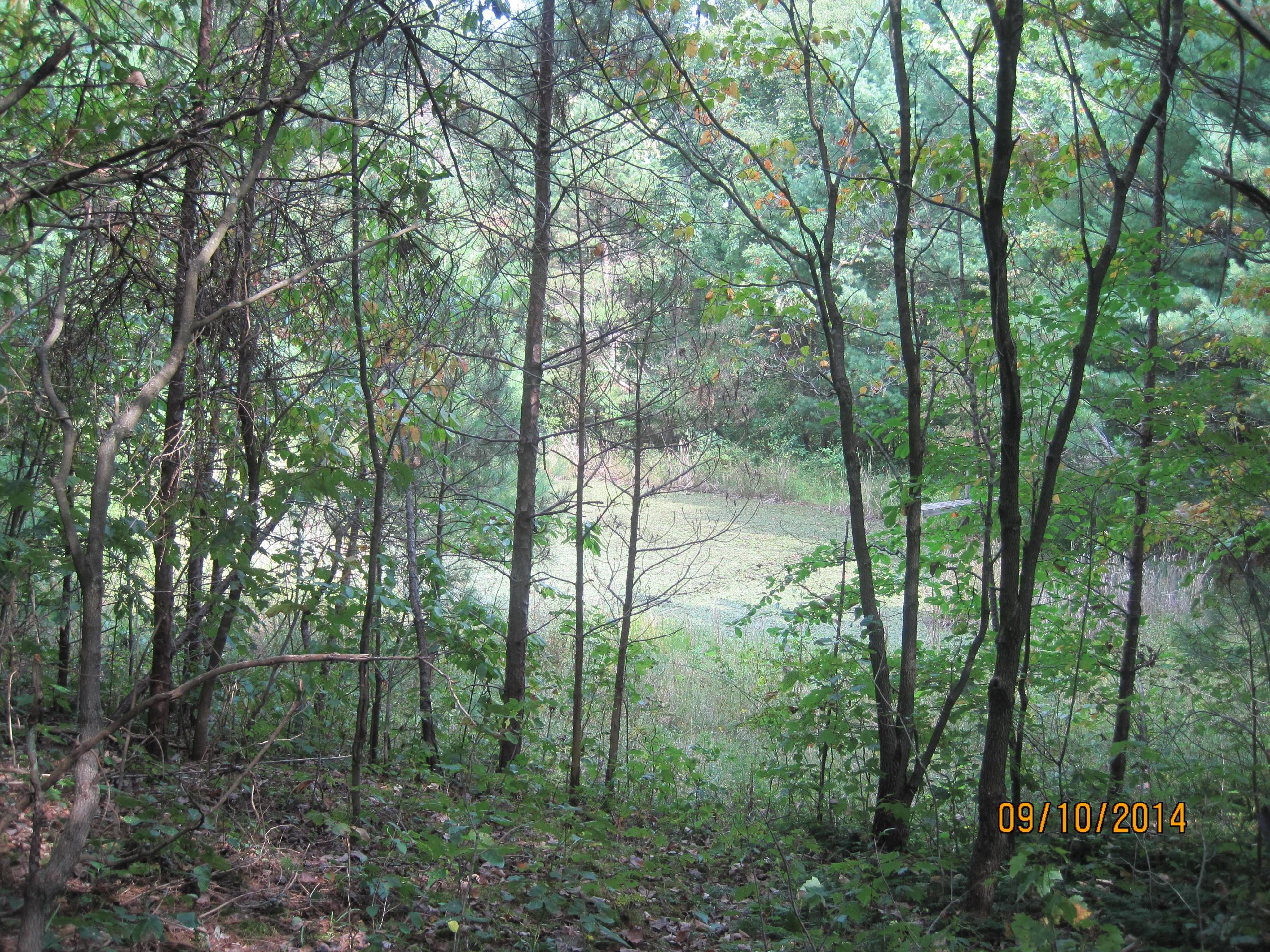 33852 Kelly Road Ray, OH 45672 - Photo 23 of 37