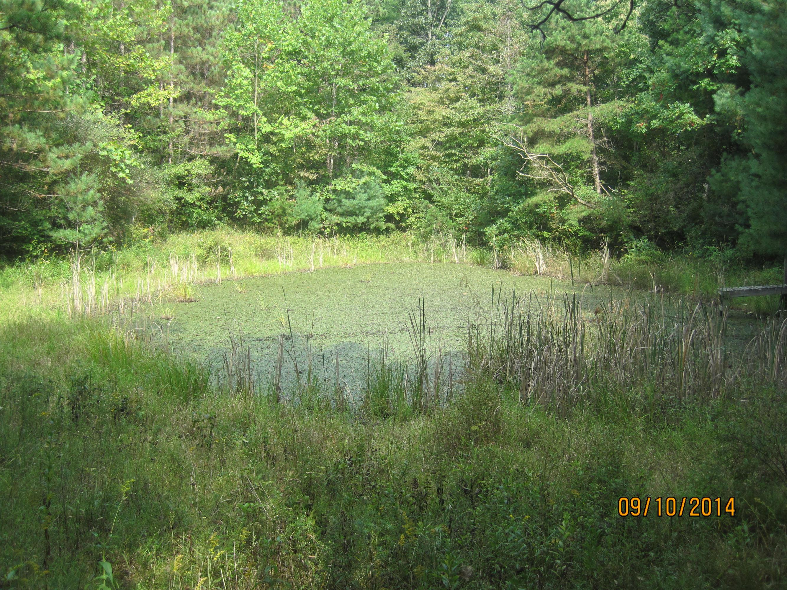 33852 Kelly Road Ray, OH 45672 - Photo 26 of 37
