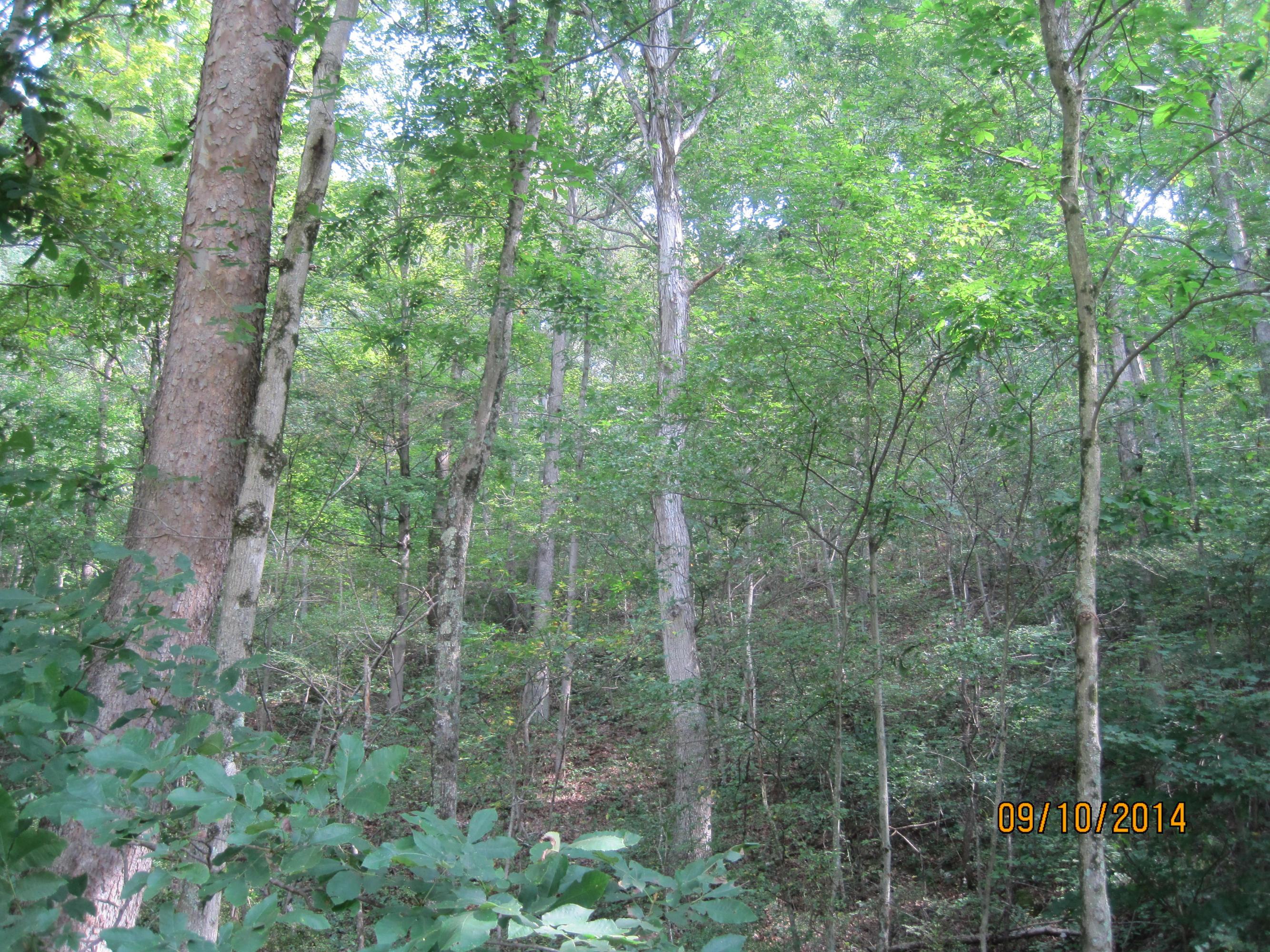 33852 Kelly Road Ray, OH 45672 - Photo 30 of 37