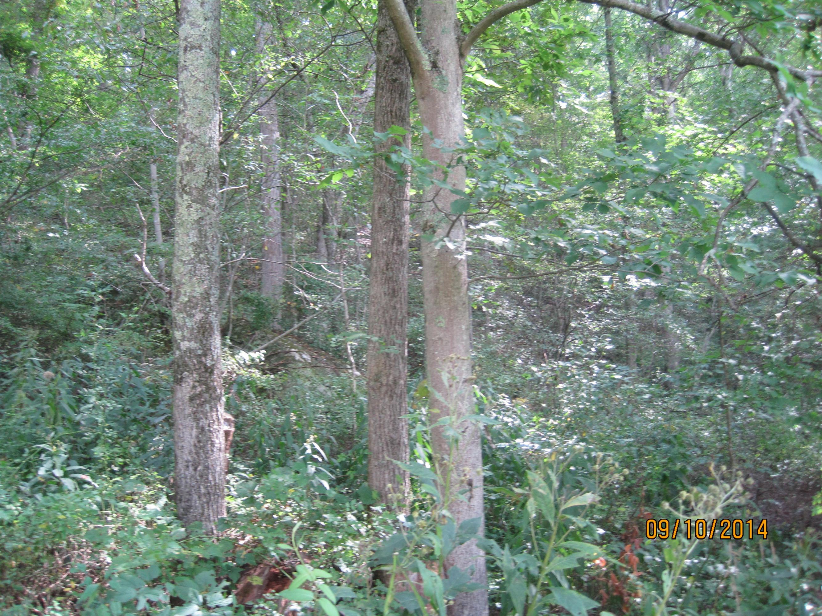 33852 Kelly Road Ray, OH 45672 - Photo 31 of 37