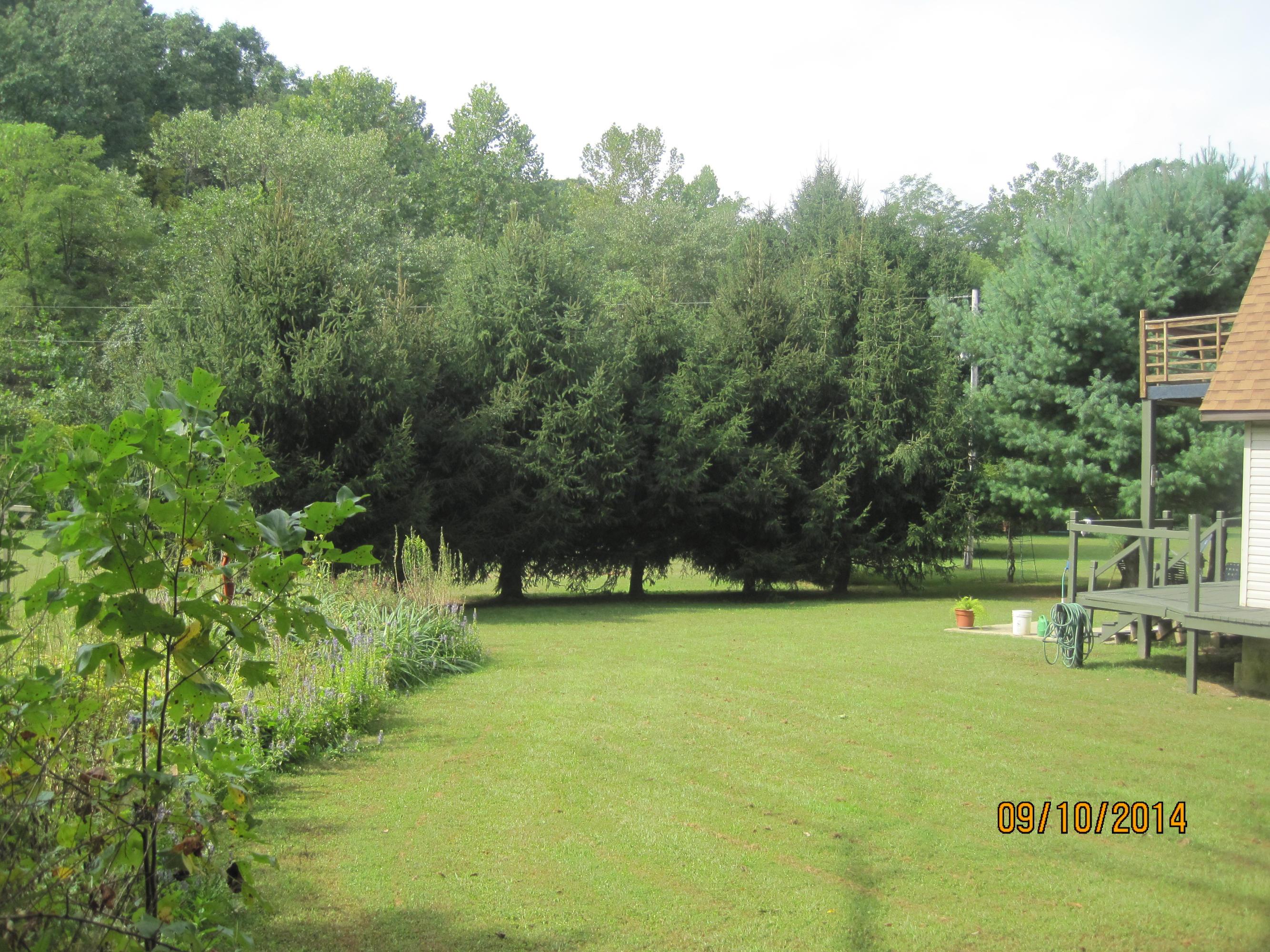 33852 Kelly Road Ray, OH 45672 - Photo 36 of 37