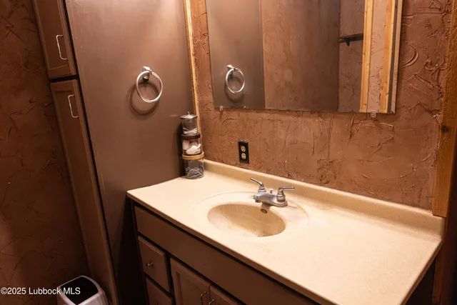 a bathroom with a sink vanity and a mirror