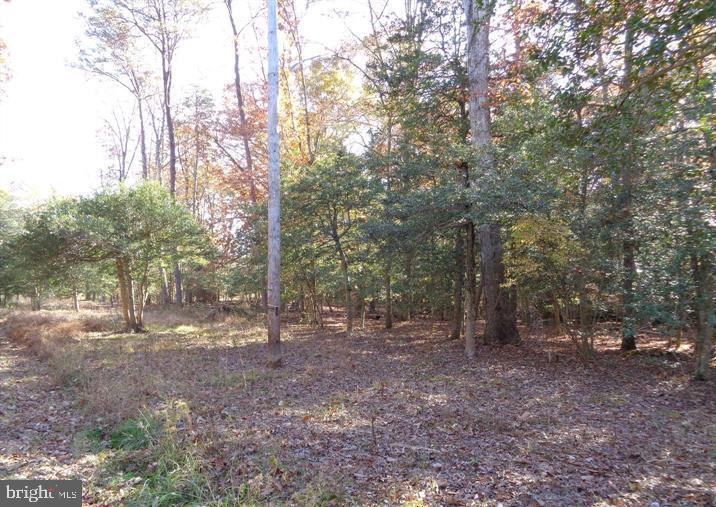106 Smith Point Road Nanjemoy, MD 20662 - Photo 9 of 9 Gallery Image 9