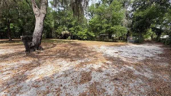 a view of outdoor space with trees