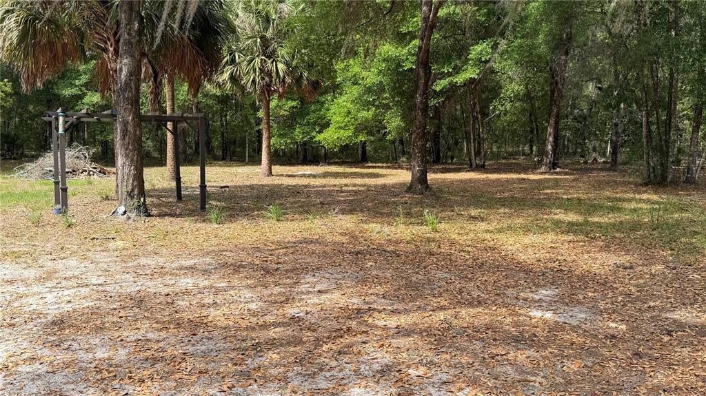 107 Eliam Road Melrose, FL 32666 - Photo 5 of 62 a view of a tree in a yard