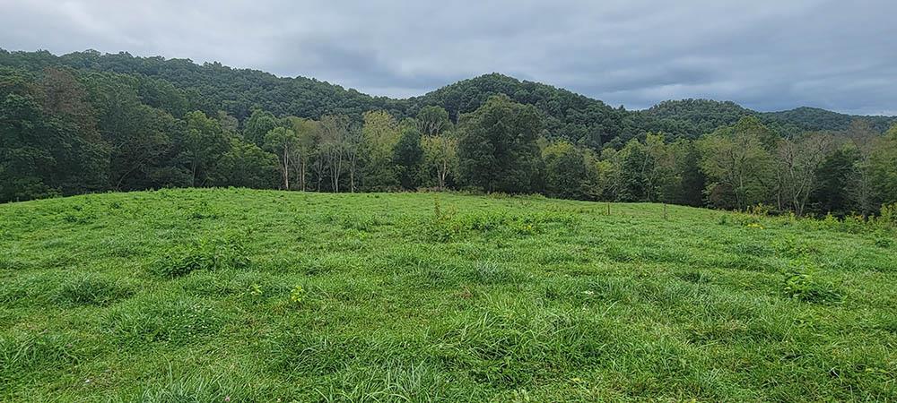 16432 South Fork River Road, Unit TRACTS 123 Glade Spring, VA 24340 - Photo 37 of 40 Gallery Image 37