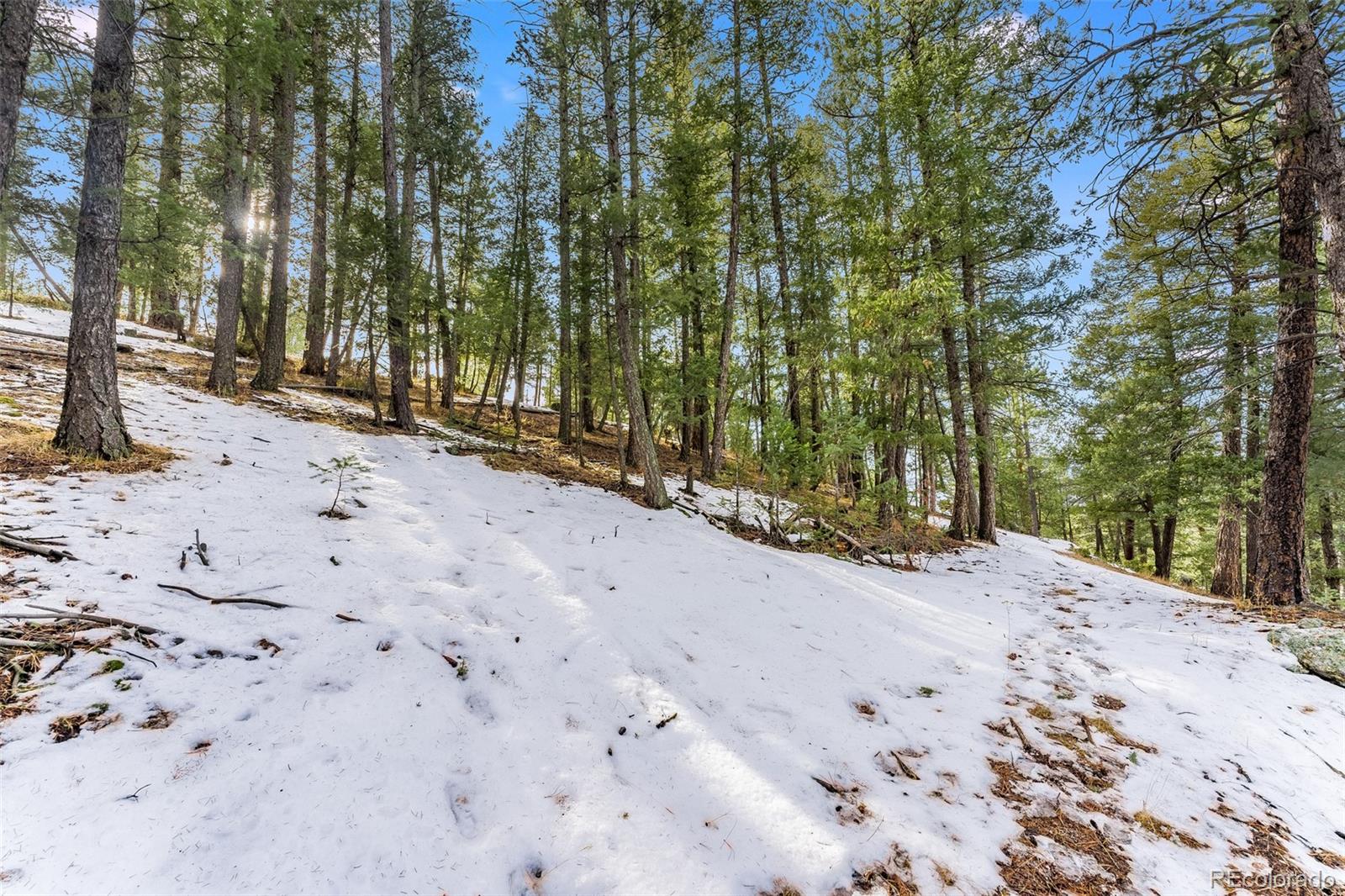 Columbine Road Evergreen, CO 80439 - Photo 11 of 40 Gallery Image 11