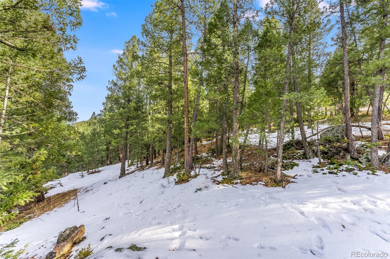 Columbine Road Evergreen, CO 80439 - Photo 17 of 40 Gallery Image 17