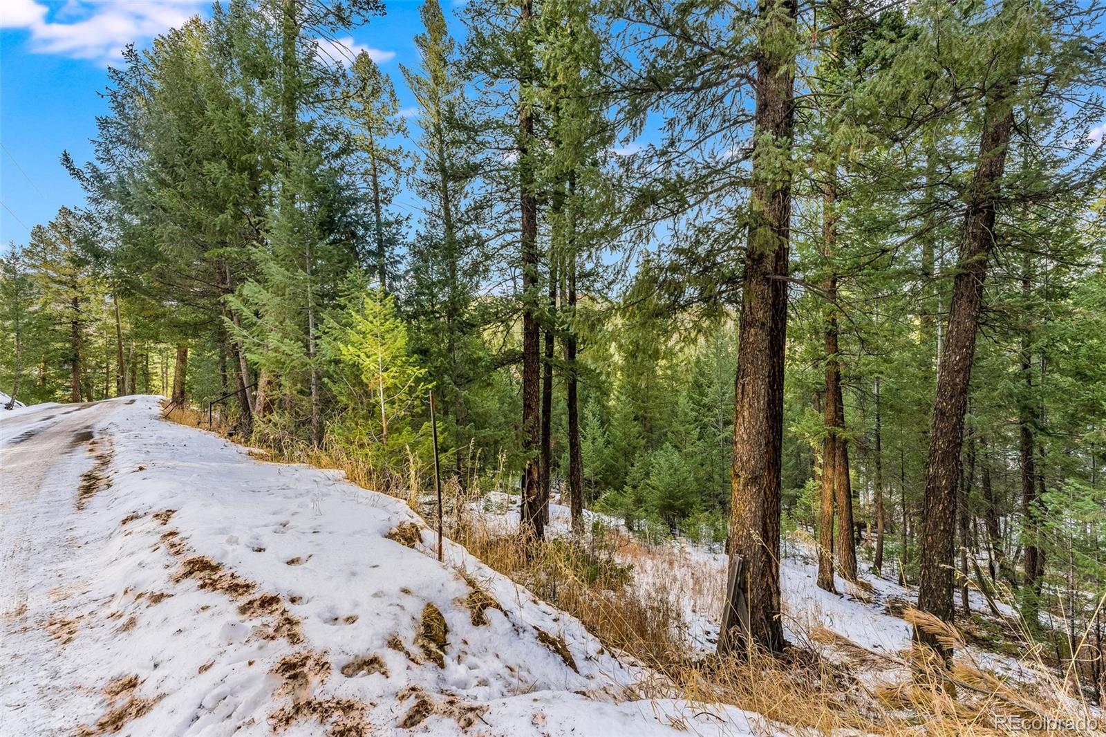 Columbine Road Evergreen, CO 80439 - Photo 20 of 40 Gallery Image 20