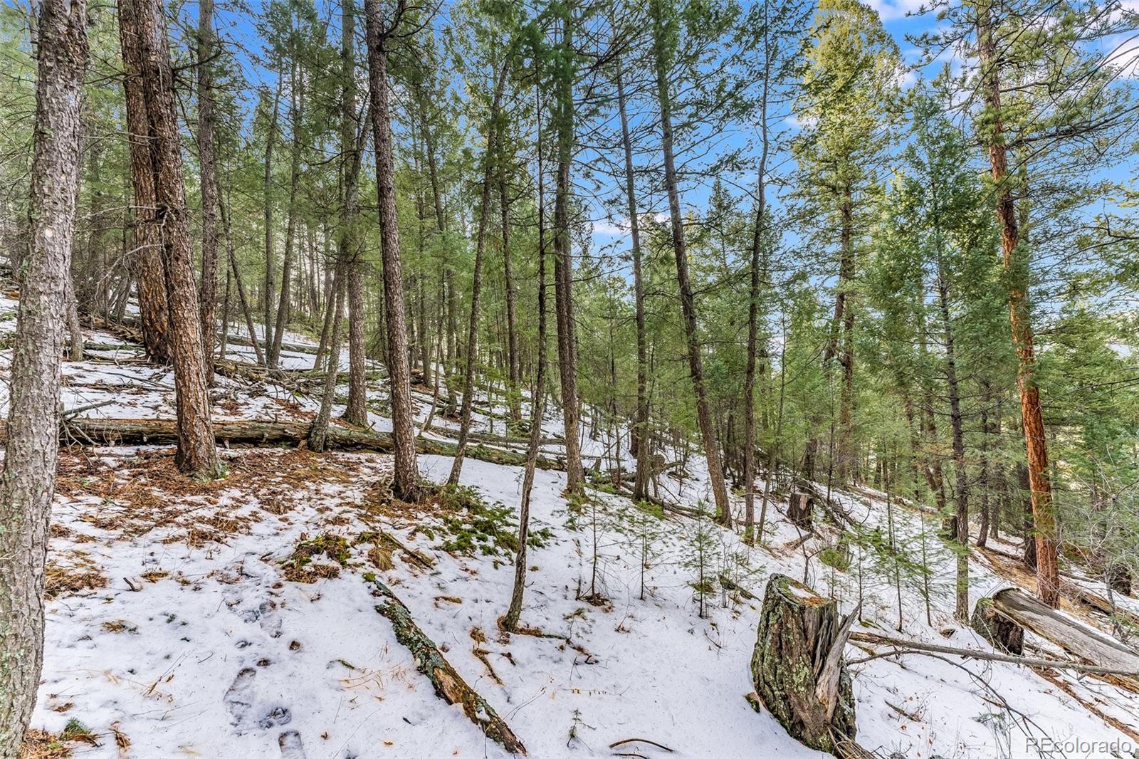 Columbine Road Evergreen, CO 80439 - Photo 30 of 40 Gallery Image 30