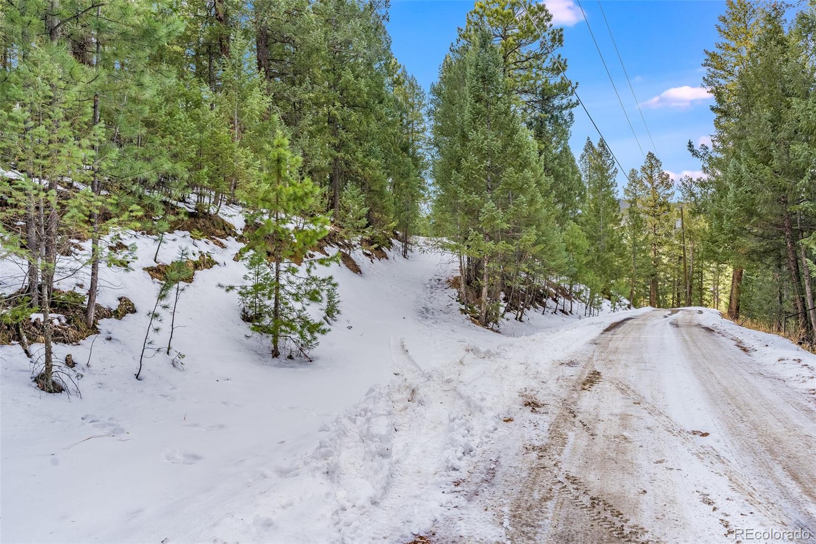Columbine Road Evergreen, CO 80439 - Photo 5 of 40 Gallery Image 5