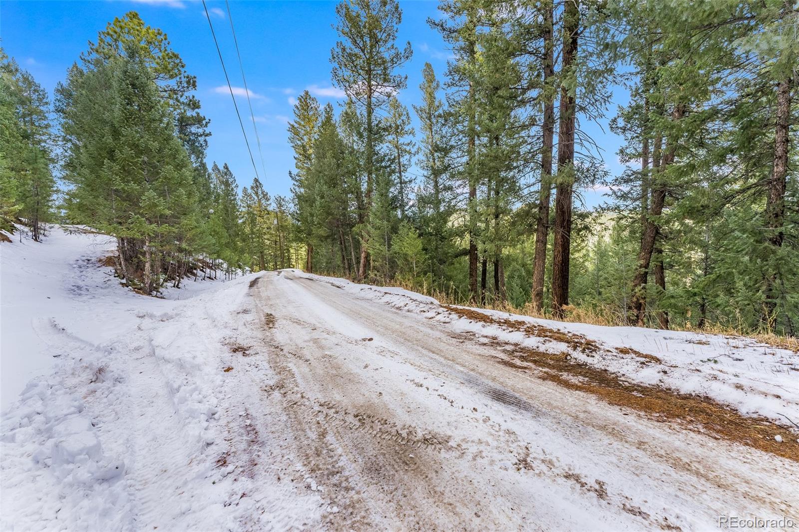 Columbine Road Evergreen, CO 80439 - Photo 6 of 40 Gallery Image 6