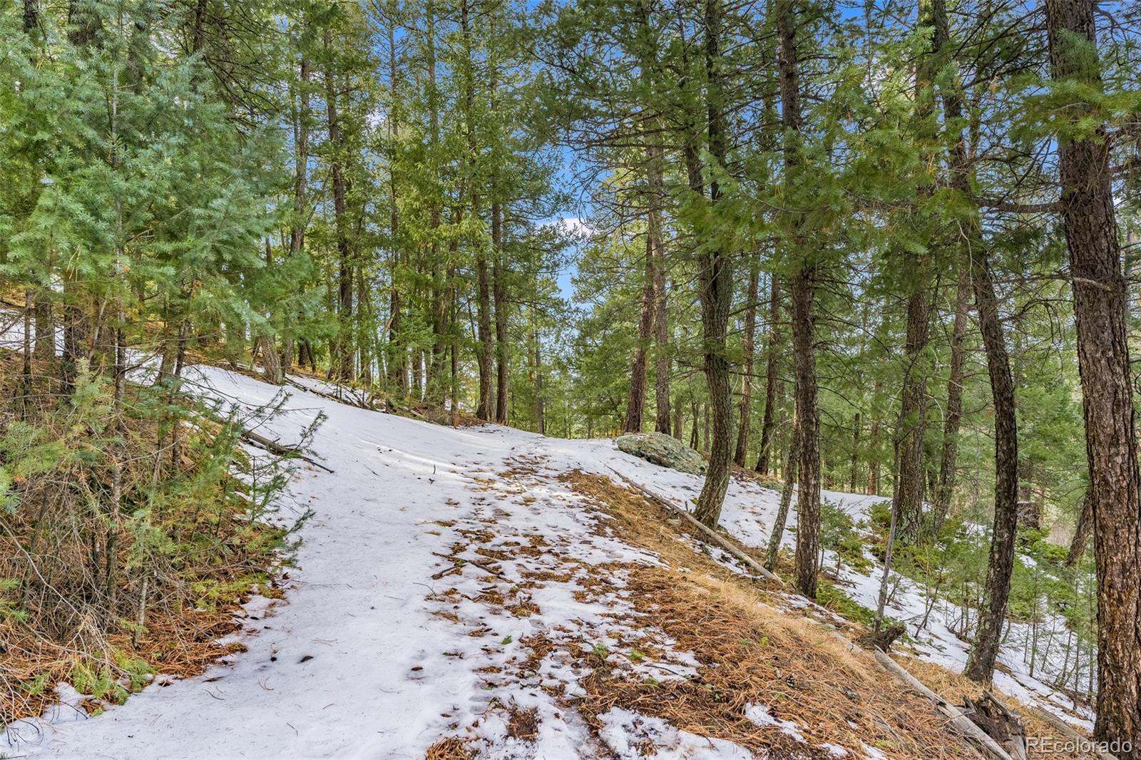 Columbine Road Evergreen, CO 80439 - Photo 10 of 40 Gallery Image 10