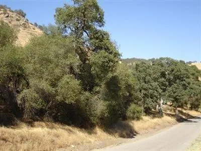 a view of outdoor space and mountain view