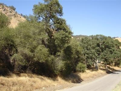 295 Ruth Hill Road Squaw Valley, CA 93675 - Photo 1 of 10 a view of outdoor space and mountain view