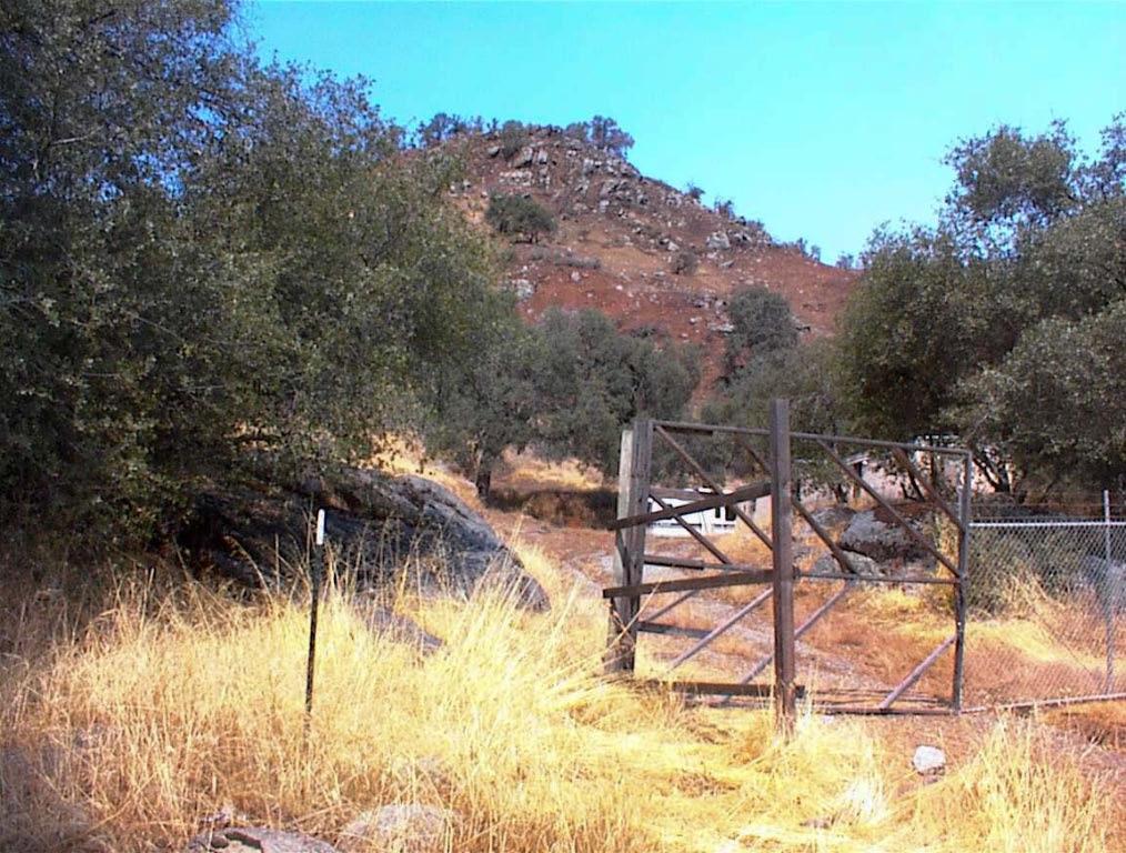 295 Ruth Hill Road Squaw Valley, CA 93675 - Photo 2 of 10 a view of backyard of a house with a tree