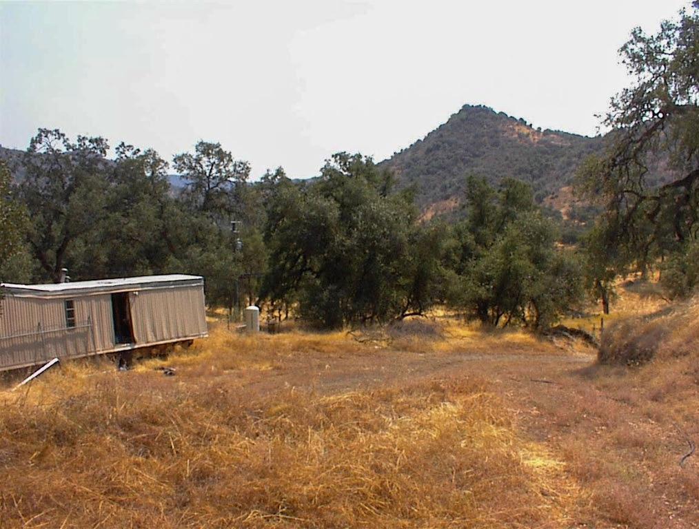 295 Ruth Hill Road Squaw Valley, CA 93675 - Photo 8 of 10 a view of a backyard with a large tree