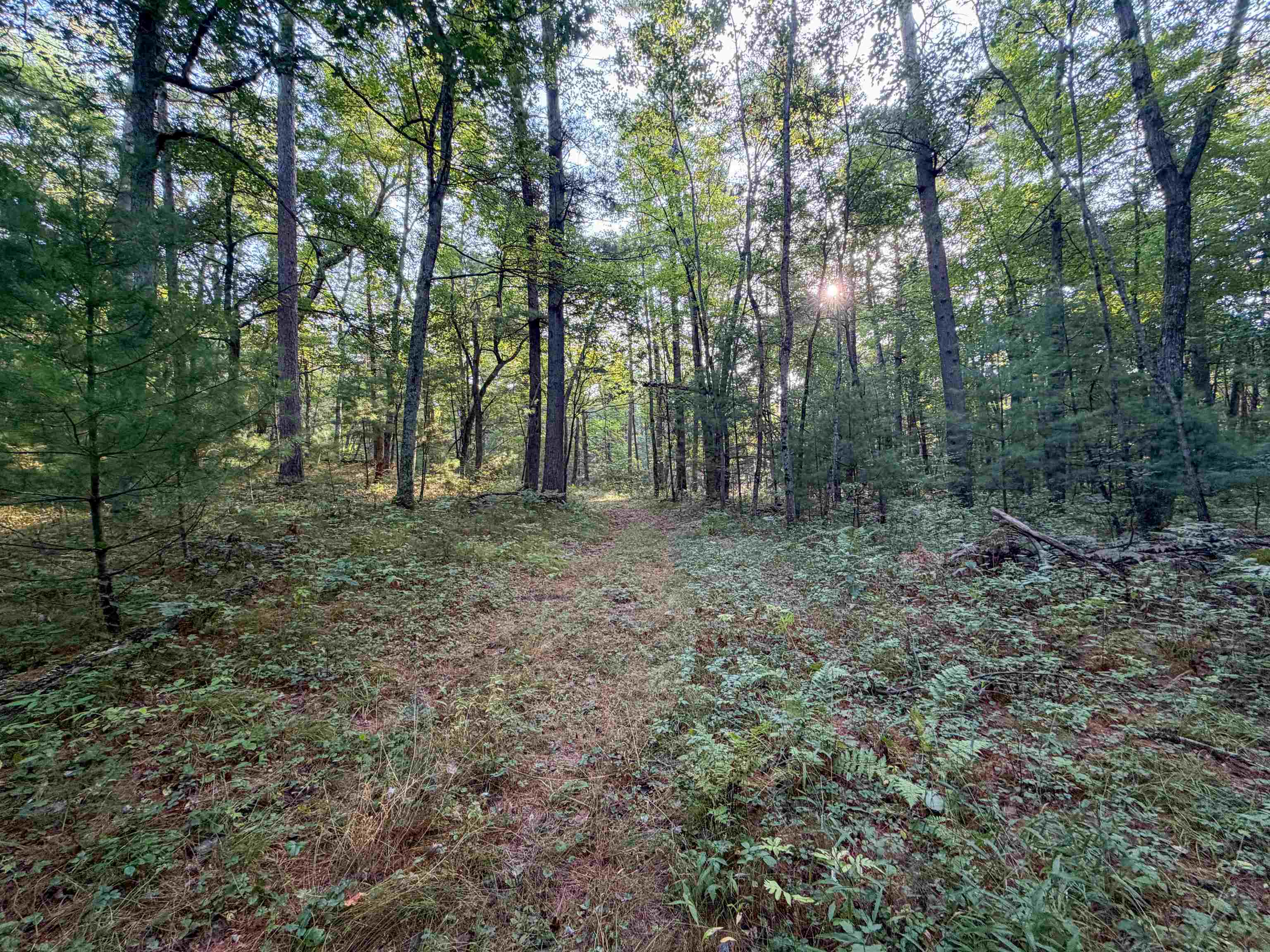 N3530 County Rd O Warrens, WI 54666 - Photo 49 of 71 Gallery Image 49