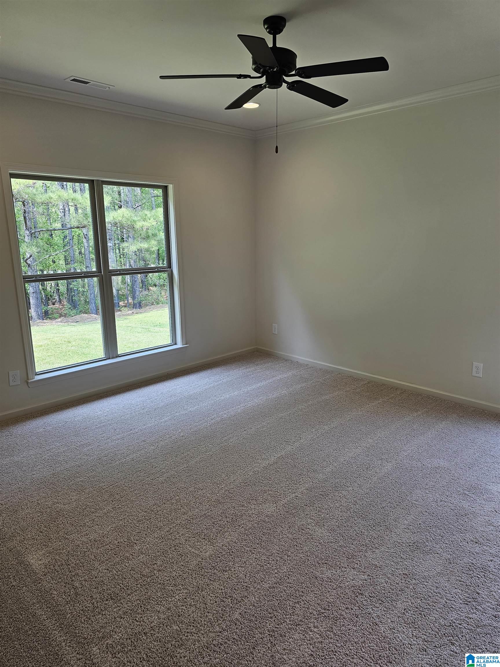 2131 Springfield Drive Chelsea, AL 35043 - Photo 8 of 13