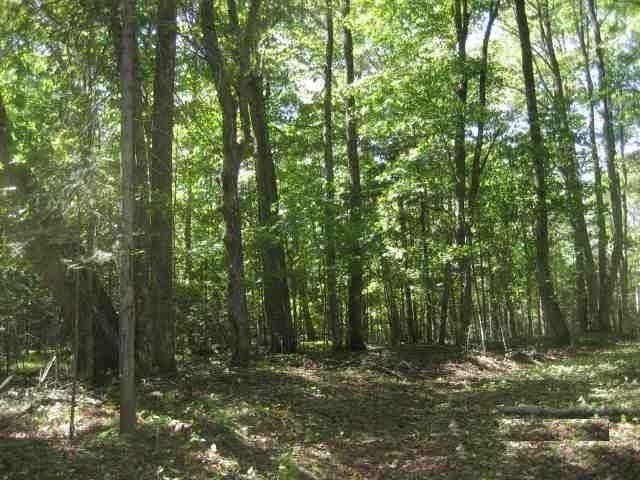 Off Martha Lake Road Mercer, WI 54547 - Photo 7 of 11 Gallery Image 7