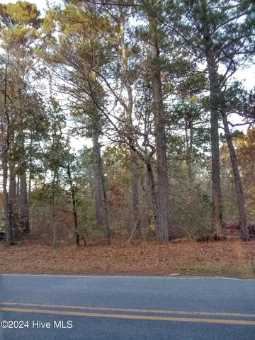 $29,500 | Lot #1 Stelleys Tabernacle Church Road, Rockingham, NC 28379