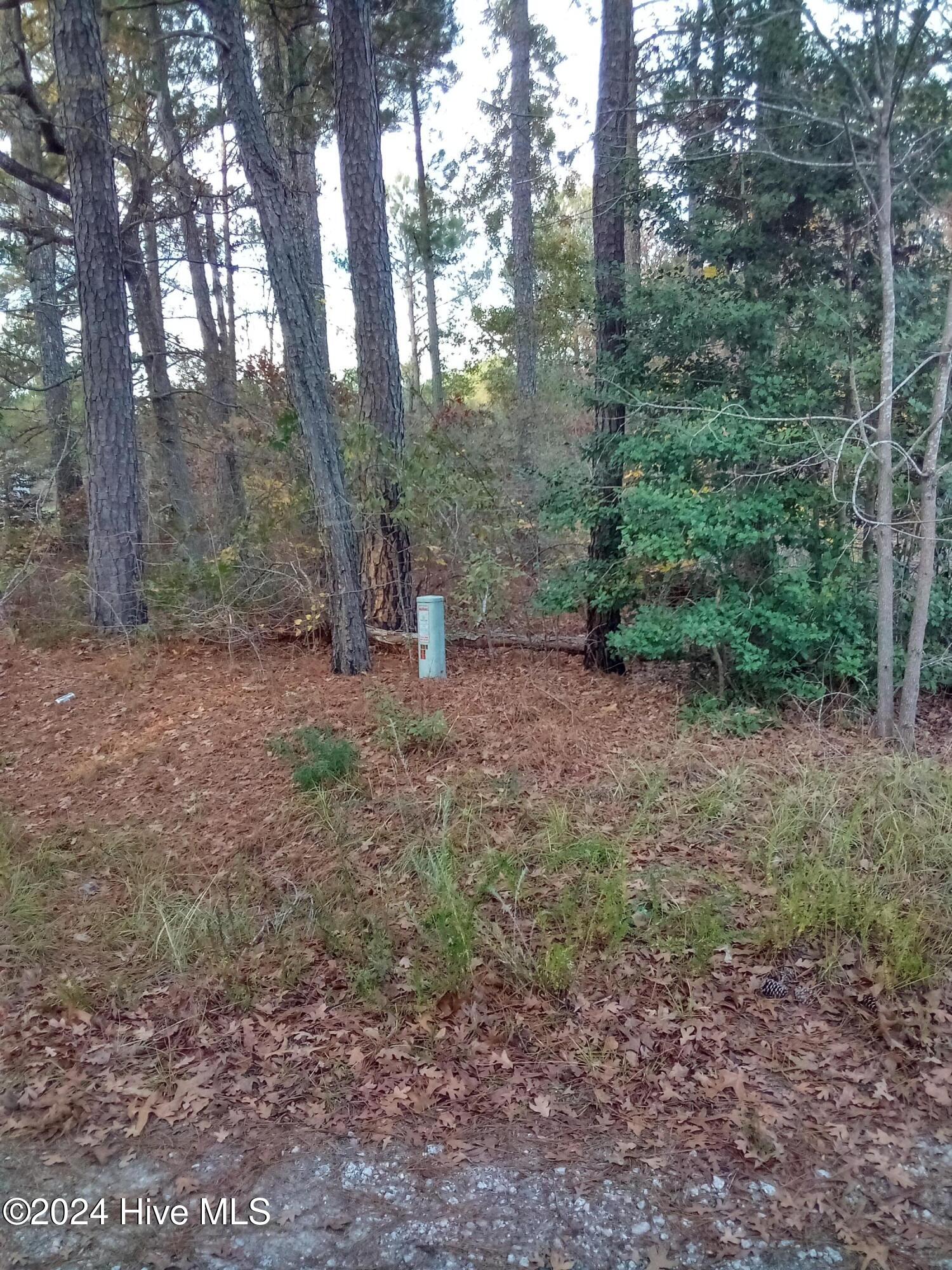 Lot #1 Stelleys Tabernacle Church Road Rockingham, NC 28379 - Photo 3 of 7 IMG_20241118_162137