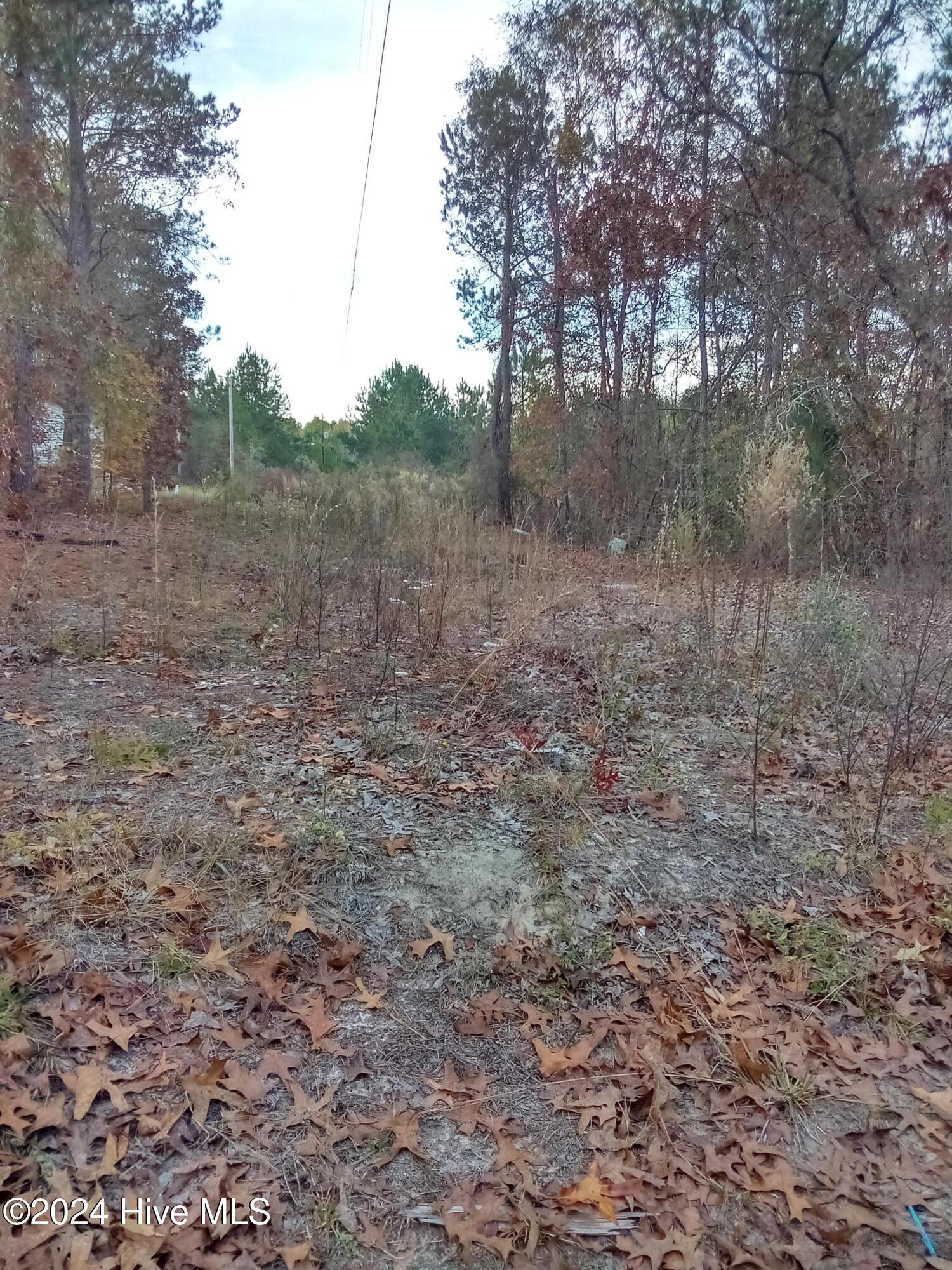 Lot #1 Stelleys Tabernacle Church Road Rockingham, NC 28379 - Photo 4 of 7 IMG_20241118_162324