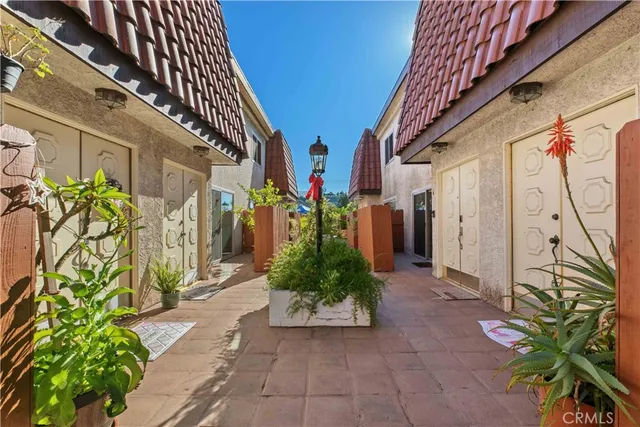 a view of path along with potted plants