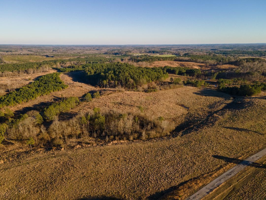 0 Busby Church Road Nauvoo, AL 35578 - Photo 23 of 24 Gallery Image 23
