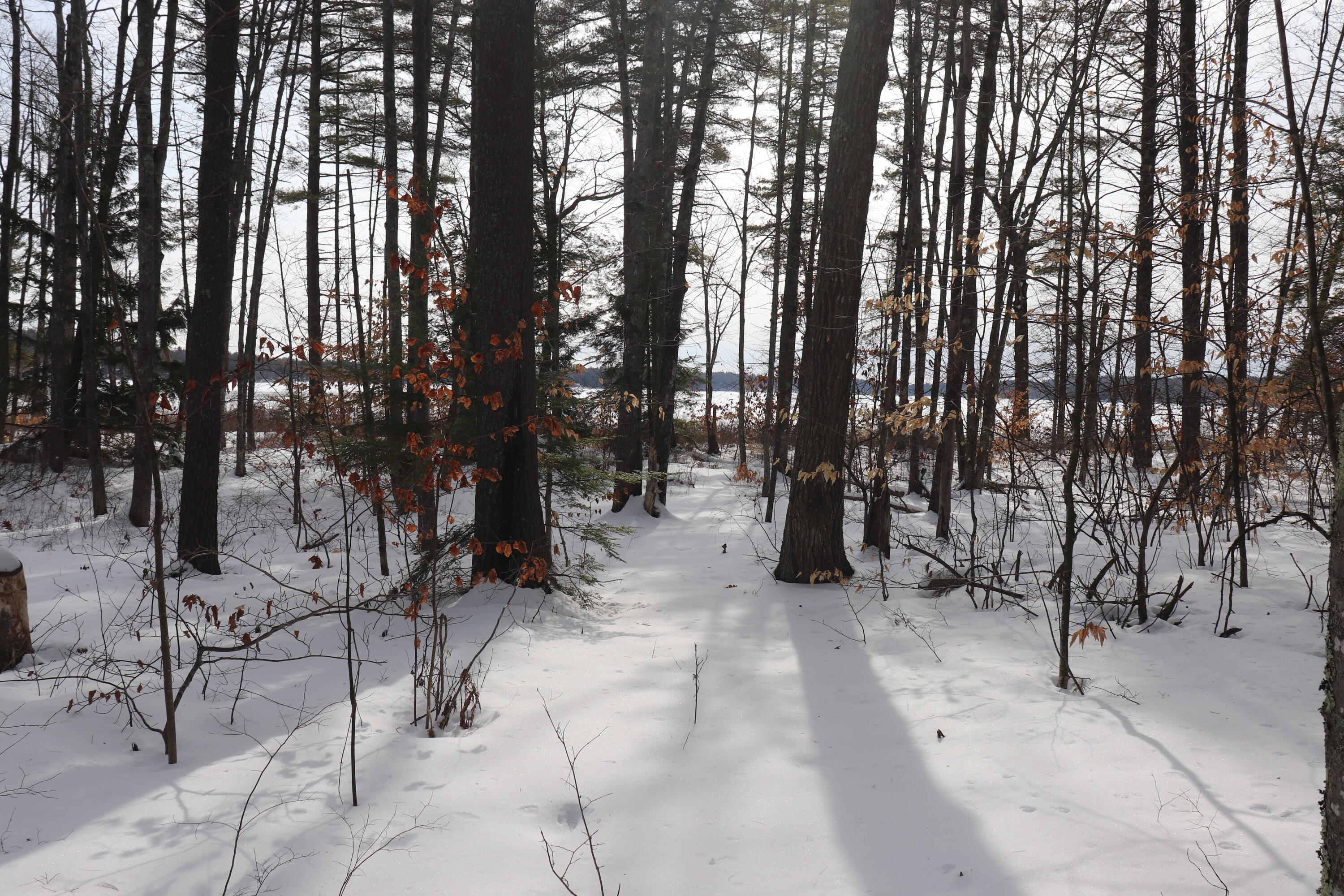Tbd Steamboat Landing Road Naples, ME 04055 - Photo 14 of 20 Interior Winter