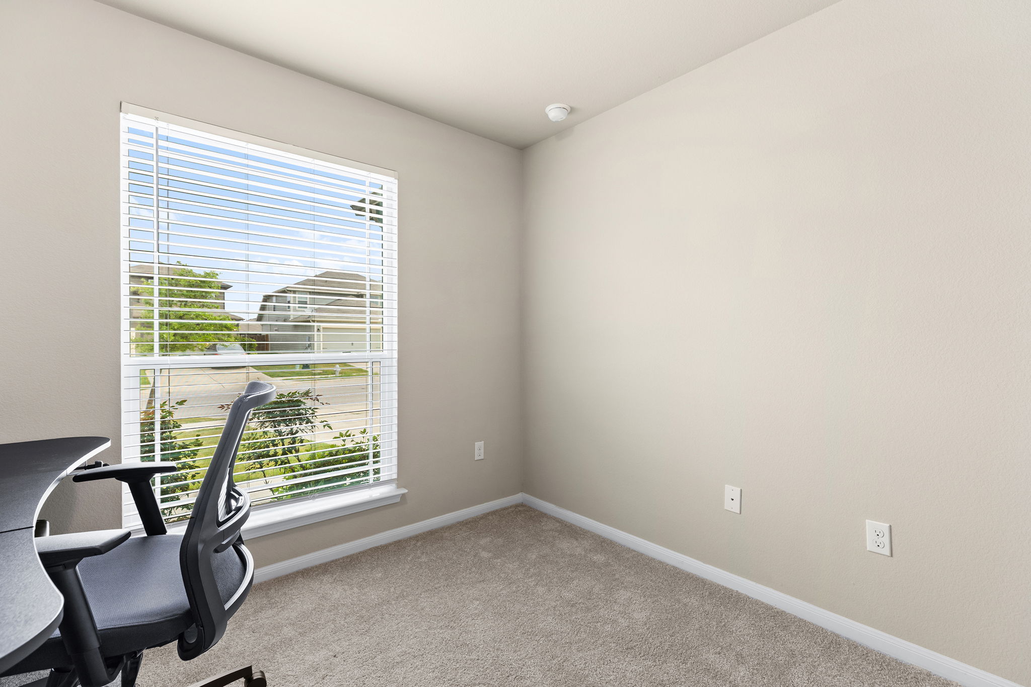 404 Cassandra Drive Hutto, TX 78634 - Photo 29 of 40 Unfurnished office with light carpet and baseboards