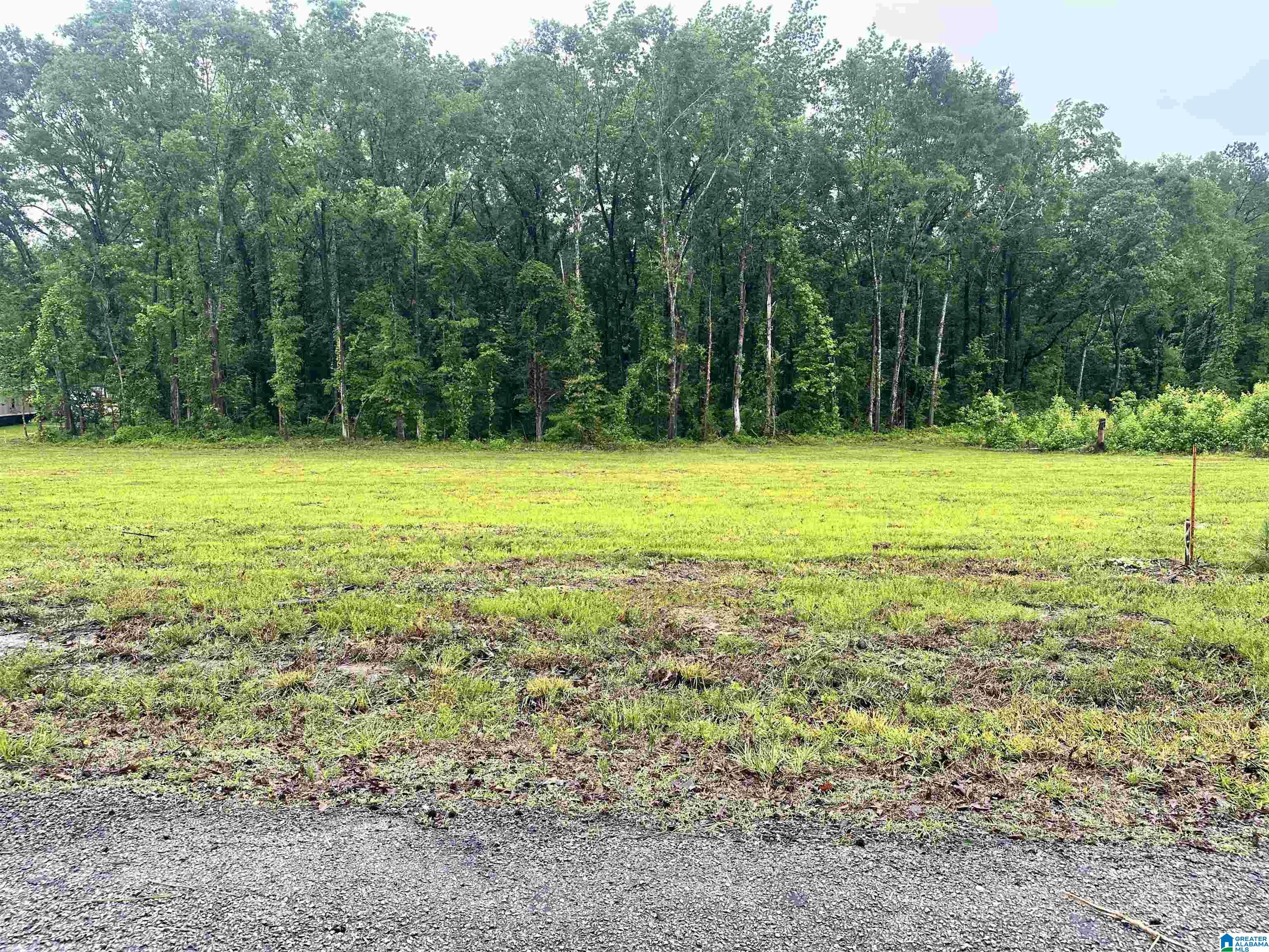 0 Ward School Road, Unit 2 Centreville, AL 35042 - Photo 3 of 4
