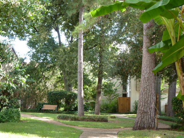 2100 Tanglewilde Street, Unit 124 Houston, TX 77063 - Photo 16 of 20 a view of a yard