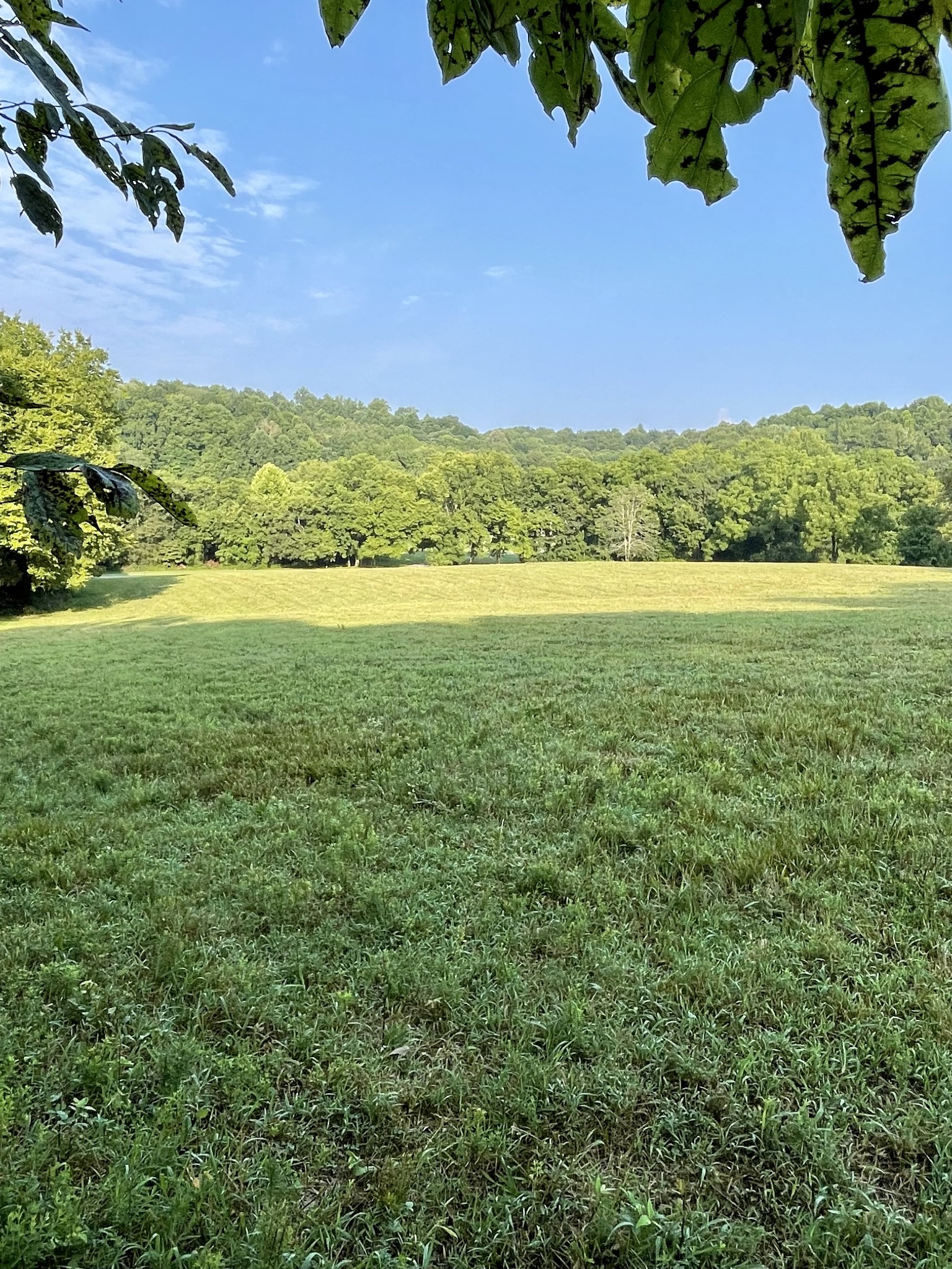 1666 Grants Road Columbia, TN 38401 - Photo 1 of 9 a view of an outdoor space and a lake view