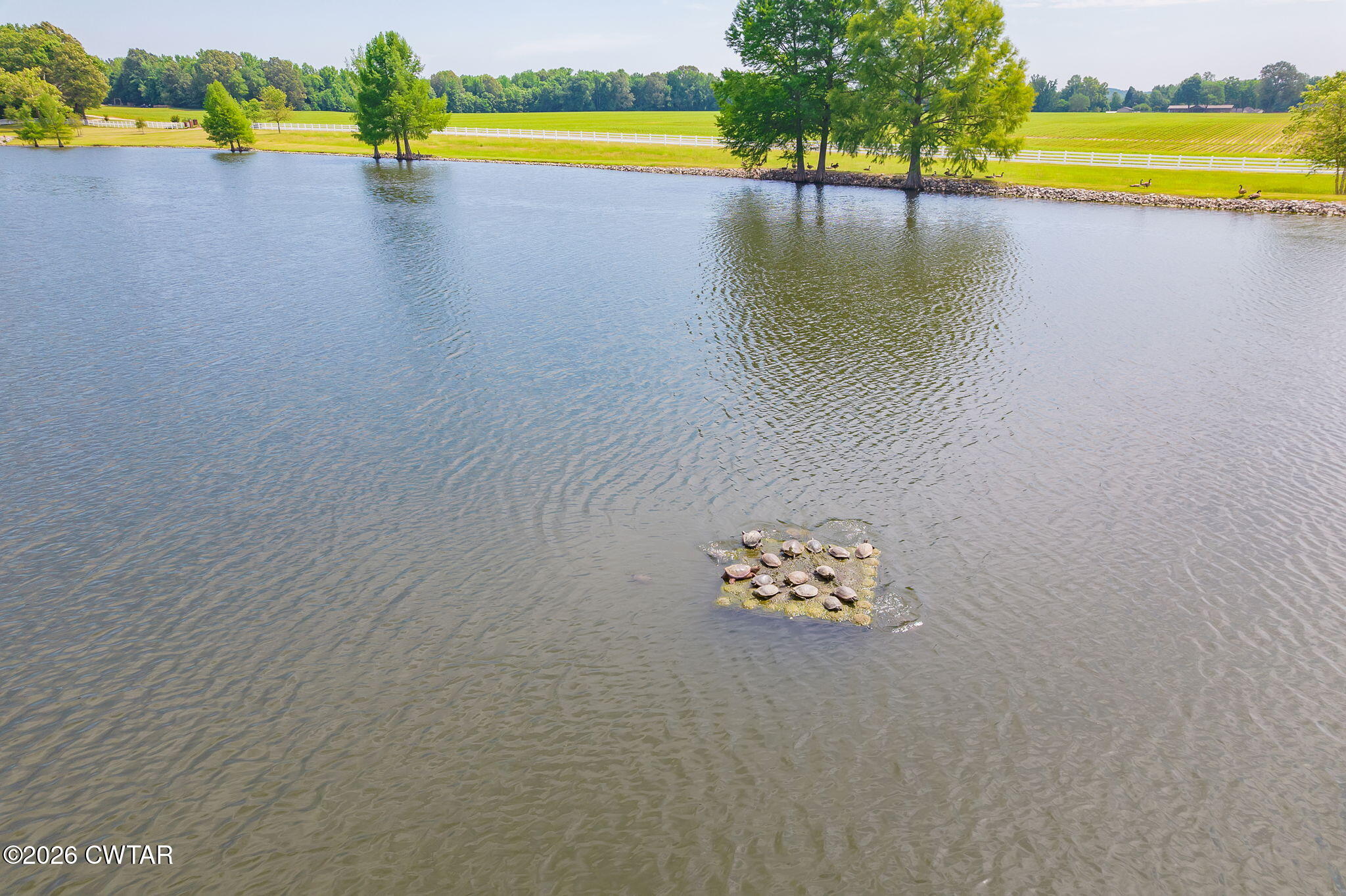 21 Sherman Blankenship Road Beech Bluff, TN 38313 - Photo 83 of 110 Completed-26