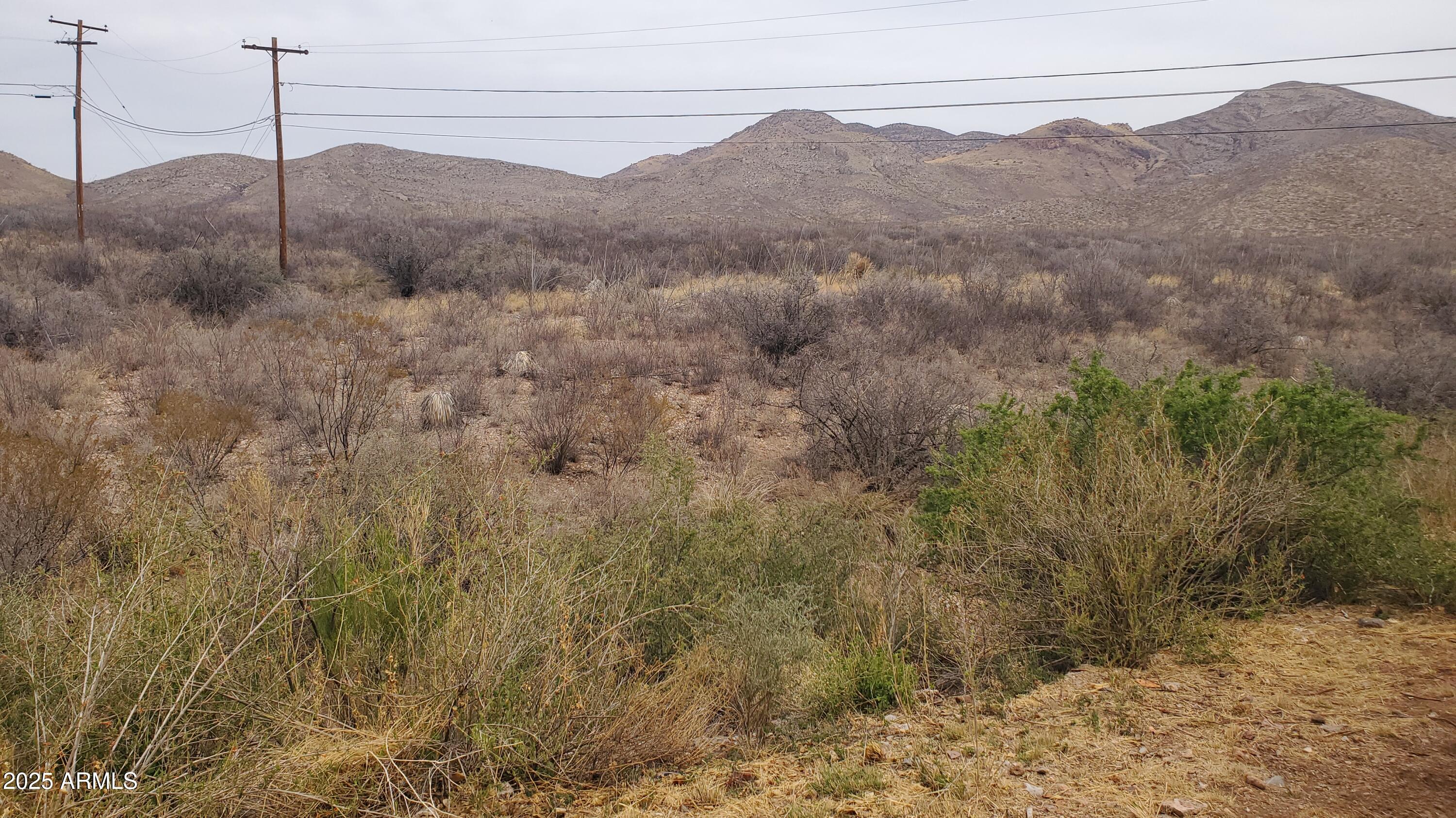 89 Pima Drive Bisbee, AZ 85603 - Photo 15 of 42 a view of a dry field