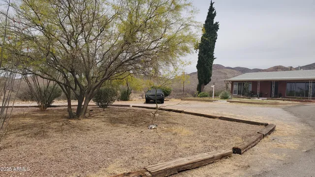 a backyard of a house with large trees and outdoor seating