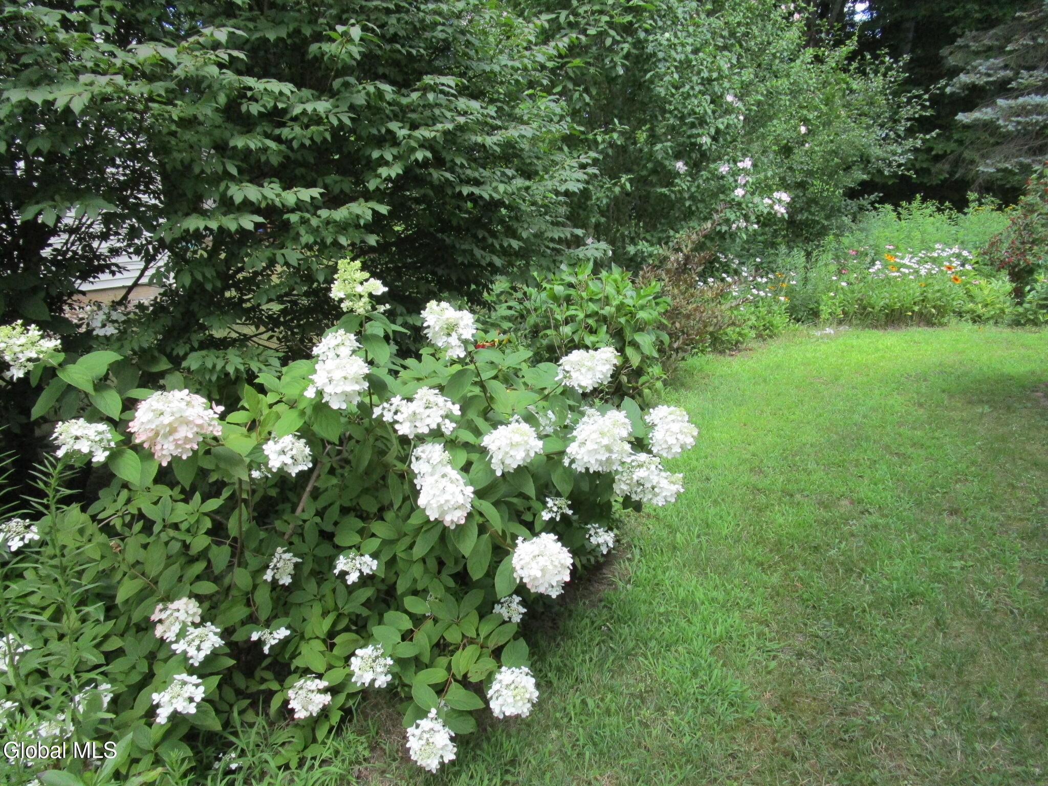 676 Pearse Road Niskayuna, NY 12309 - Photo 11 of 67 IMG_7811