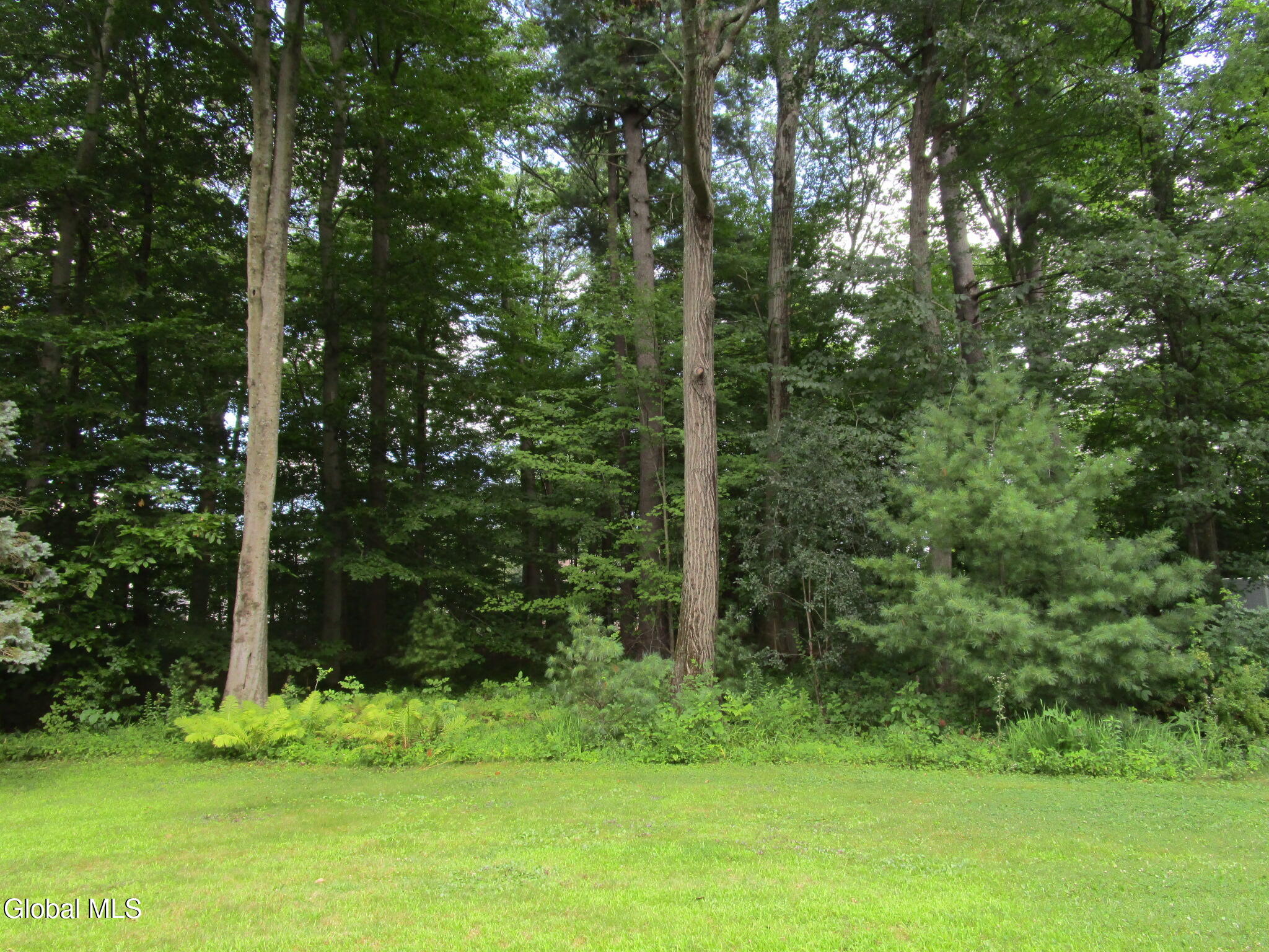 676 Pearse Road Niskayuna, NY 12309 - Photo 13 of 67 IMG_7807