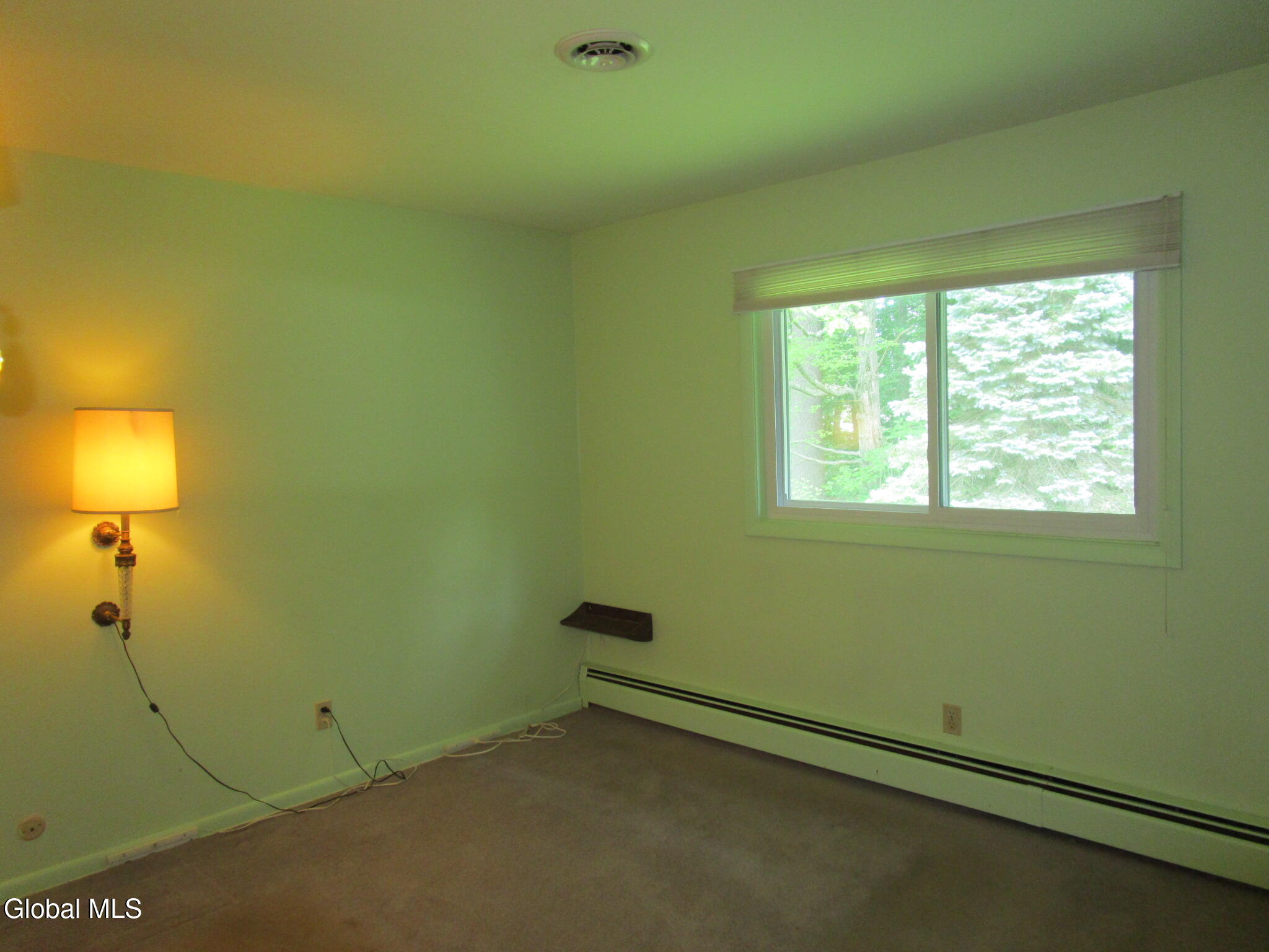 676 Pearse Road Niskayuna, NY 12309 - Photo 41 of 67 IMG_7919